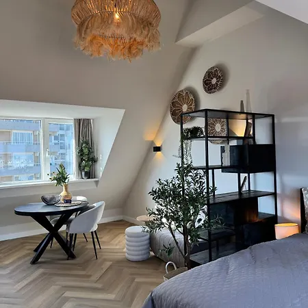 Short At 68 Zandvoort